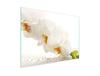 GLAS-SCHNEIDEBRETT 30x22 ORCHIDEE