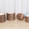Cosmetic Holder Wooden Bark Pen Holder Multifunctional Stationery Box  Home Office