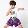 Satin Material Boxing Shorts Embroidery Design Kickboxing Shorts New Fight Shorts  MMA Training