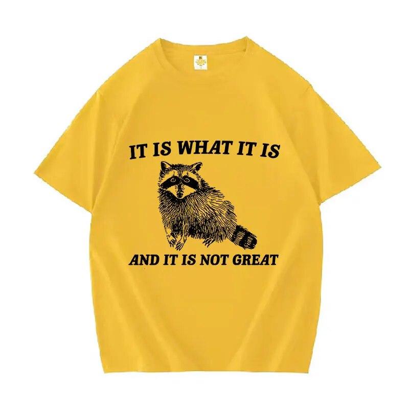 Это то что есть и это не отличный футболка с изображением енота забавные женские топы унисекс модная футболка с круглым вырезом футболки с оверсайзом 3XL 2367₽