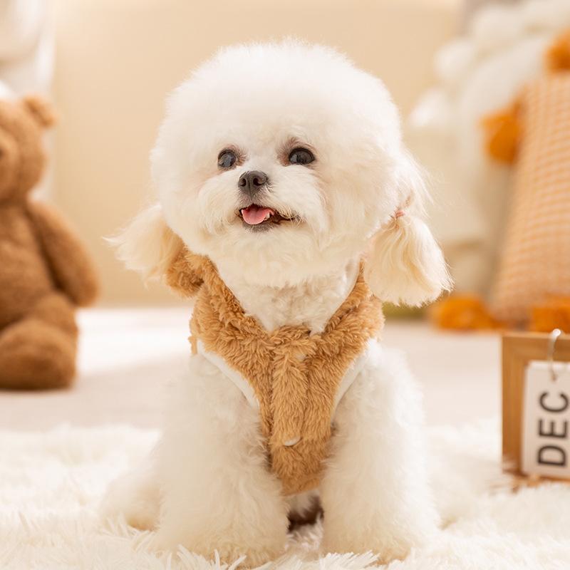 Pet Bee Transformation Pack Teddy Bigbear Pomeranian Puppy Dog Clothing Autumn New Puppy Cat Autumn Winter Clothing