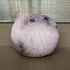 New The Moon Woke Up Plush Catoon Creative The Moon Woke Up Plushie Halloween Party Home Decor Soft Doll Kids Gift