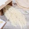 Dried Pampas Grass Natural Pampas Grass Bouquet Large Reed Dried Flowers for Boho Home Decor