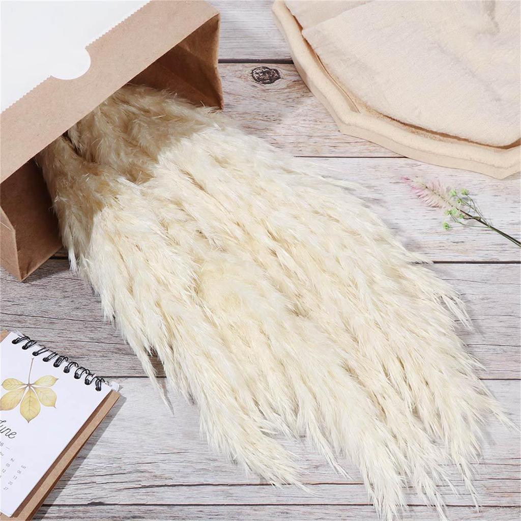 Dried Pampas Grass Natural Pampas Grass Bouquet Large Reed Dried Flowers for Boho Home Decor