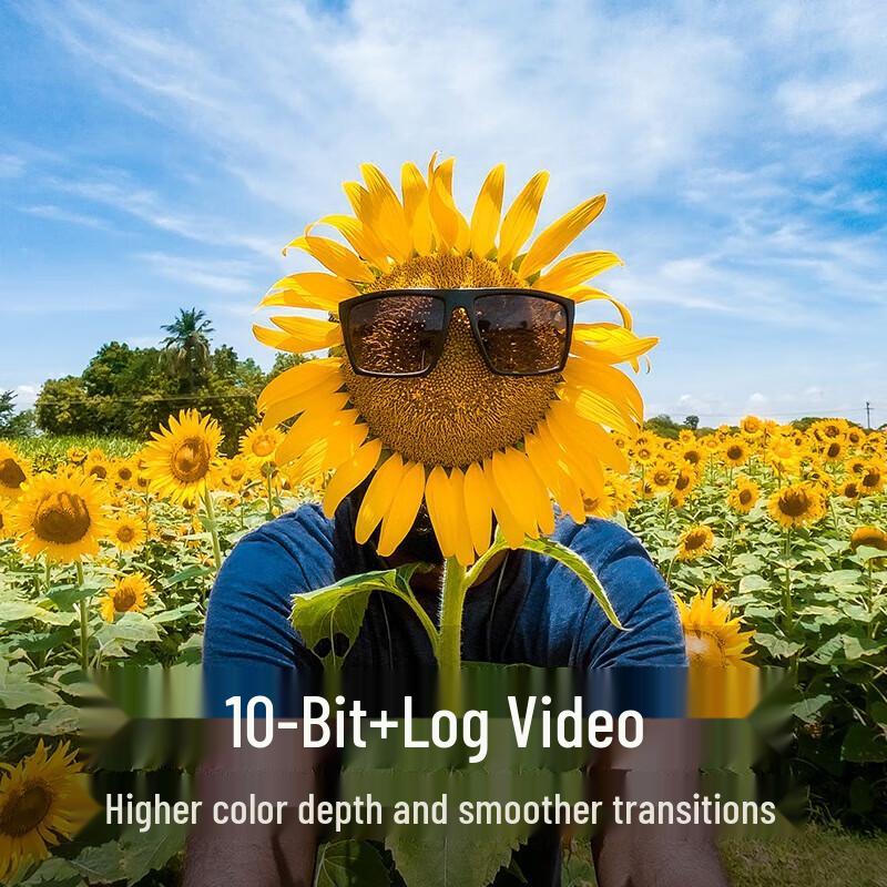 GOPRO HERO12 Black Waterproof Action Camera (CN version)