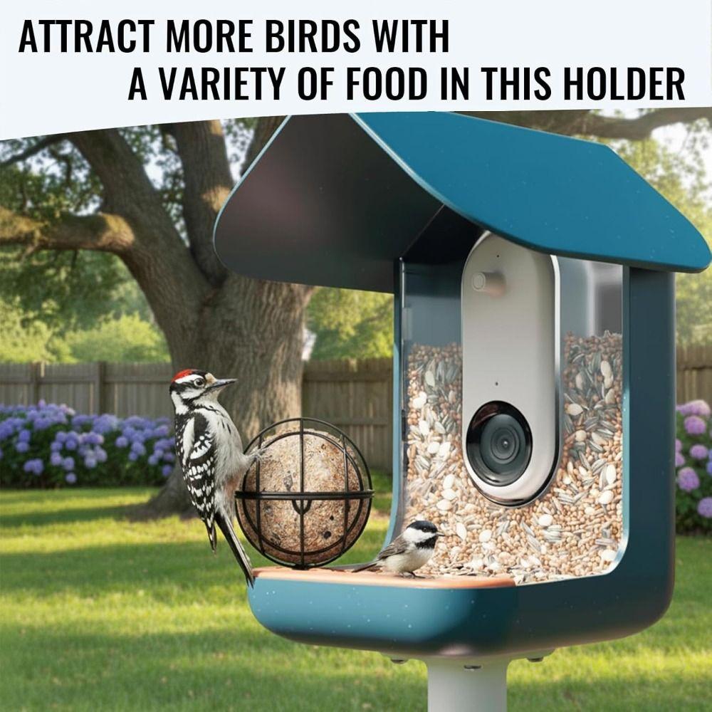 5 MM Screw Hole Metal Suet Ball Holder Closed Design Rust Resistant Bird Feeder Holder Round Squirrel Proof Chit Ball Holder