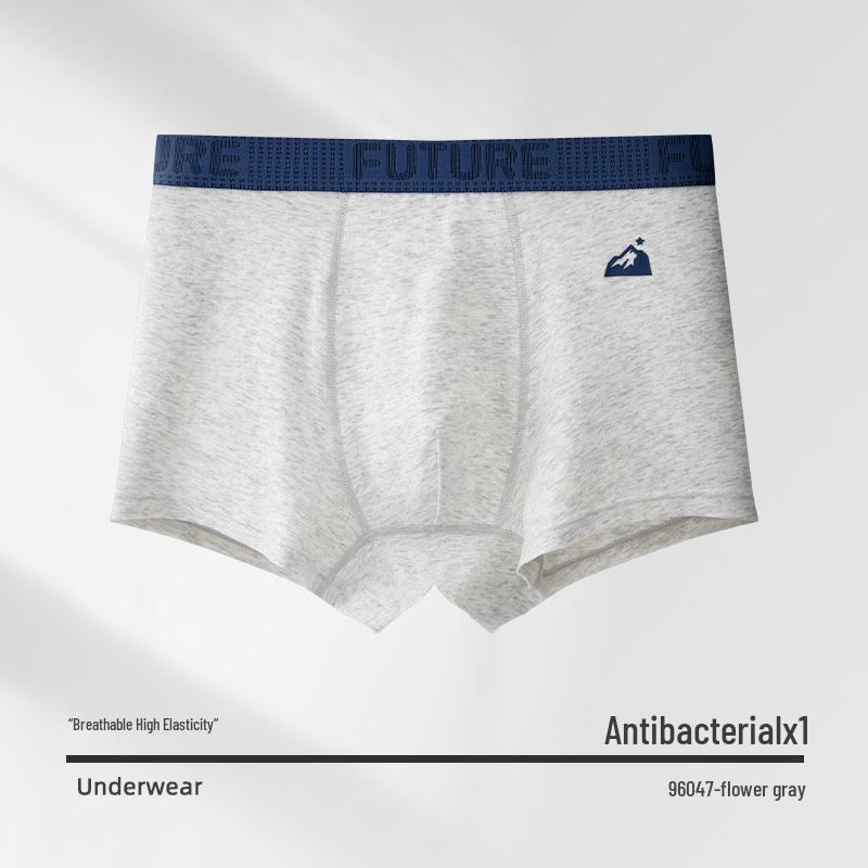 Teen Boys' Antibacterial Pure Cotton Boxer Briefs (10A) - All-Cotton Crotch Development Period Underwear