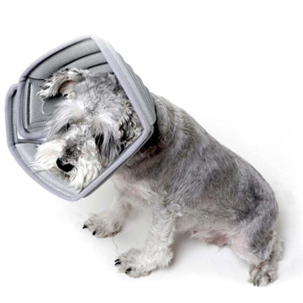 Cat Cone after Surgery Recovery Cone Elizabethan Collar Pet Supplies Dog Collar Dog Cone Cat Collar