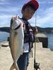 Abu Garcia Metal Jig Micro Jig Flat 3g Green Gold SSMJF3-GRG