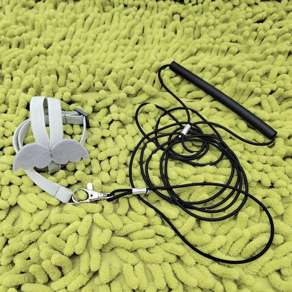 Papagei Vogel Fliegendes Zugseil Verstellbare ultraleichte Geschirrleine mit bequemem Griff