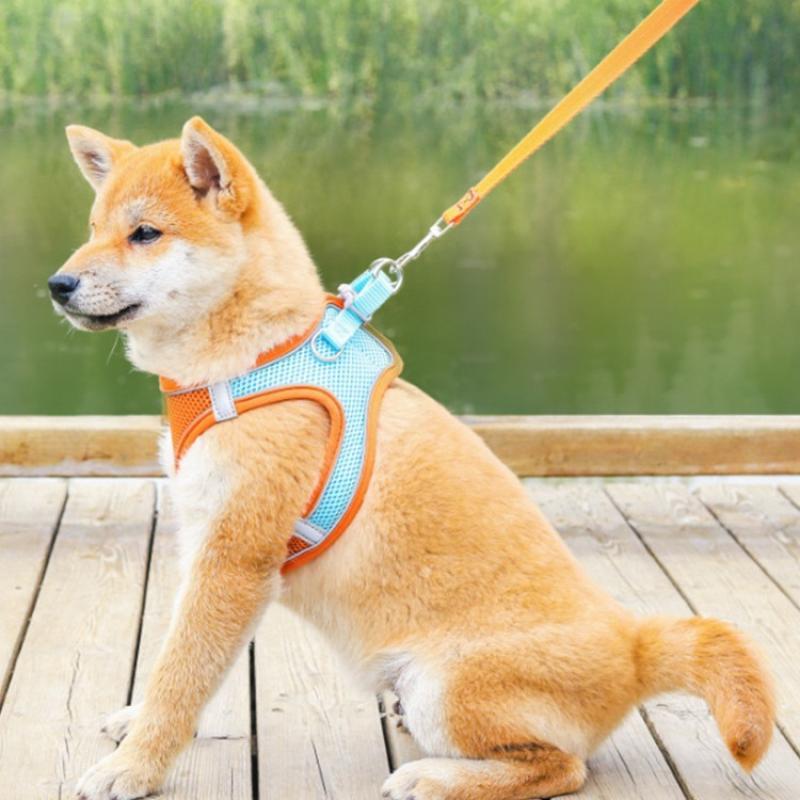 Pet Dog Harness with Leash Outdoor Reflective Breathable Harness Traction Rope for Dog Cat Durable Adjustable Walking Harness for Small Medium Pets