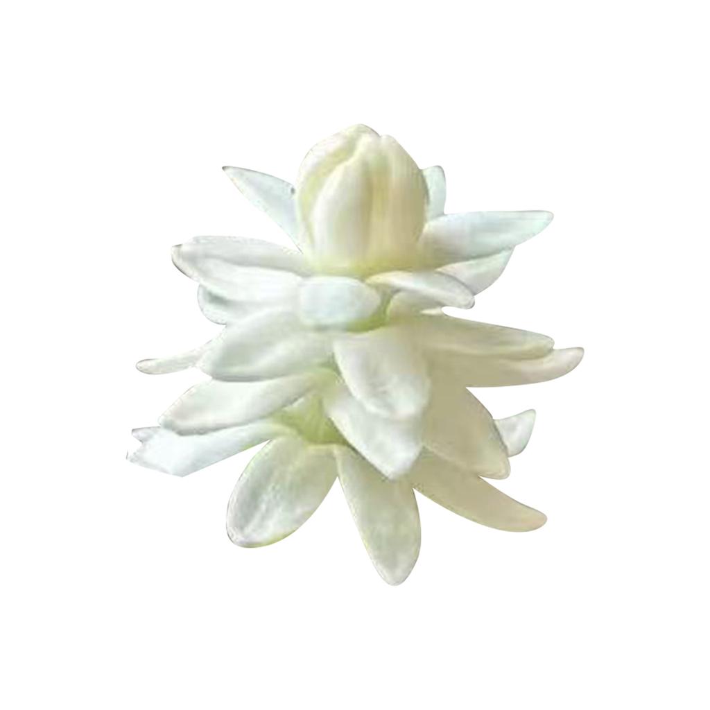 Jasmine Potted Plant, 100 Fragrant Climbing Jasmine Flowers, Beautiful Climbing Blossoms, Suitable For Home Gardens And Outdoor Planting.