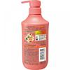 Ichigami Dense W Moisturizing Care Cd Pumpf 450g Kracie Home Products