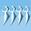 Futen Portable Disposable Dental Floss
