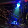 Aquariums LED Light Spotlight LED for Small Size Fish Tanks Remote Type Spotlight Waterproof Adjustable Light Color