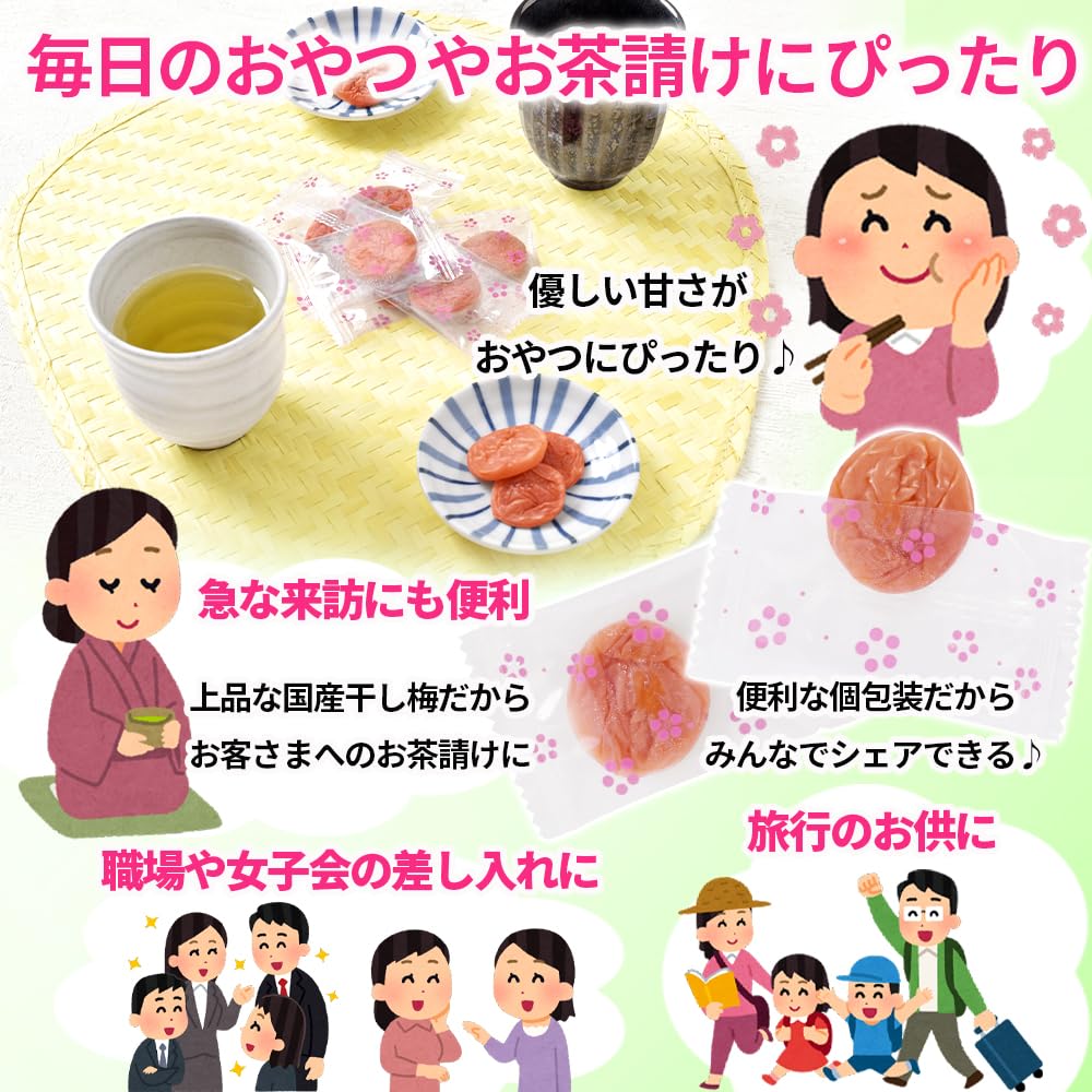 Reefcoco Kishu-Style Mild Dried Ume with Honey Pitted Ume 500g Stand-up Bag Wholesale Nanko Ume Pickled Plum Ume Sweets Ume Confectionery