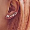 Style Internet Celebrity With The Same Ear Hook, Song Huiqiao With The Same Earrings Song Zuer, Full Of Diamond Flower Earrings Women