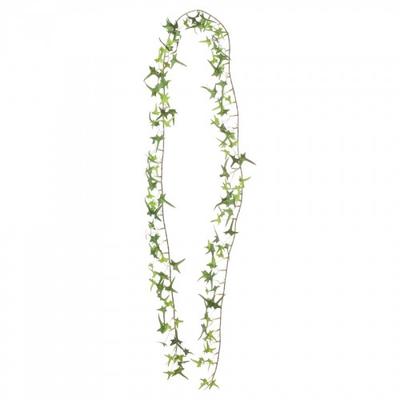 Ivy Garland