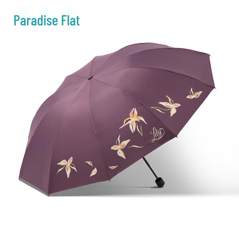 Tiangang 10-Rib Large UV Protection Folding Umbrella