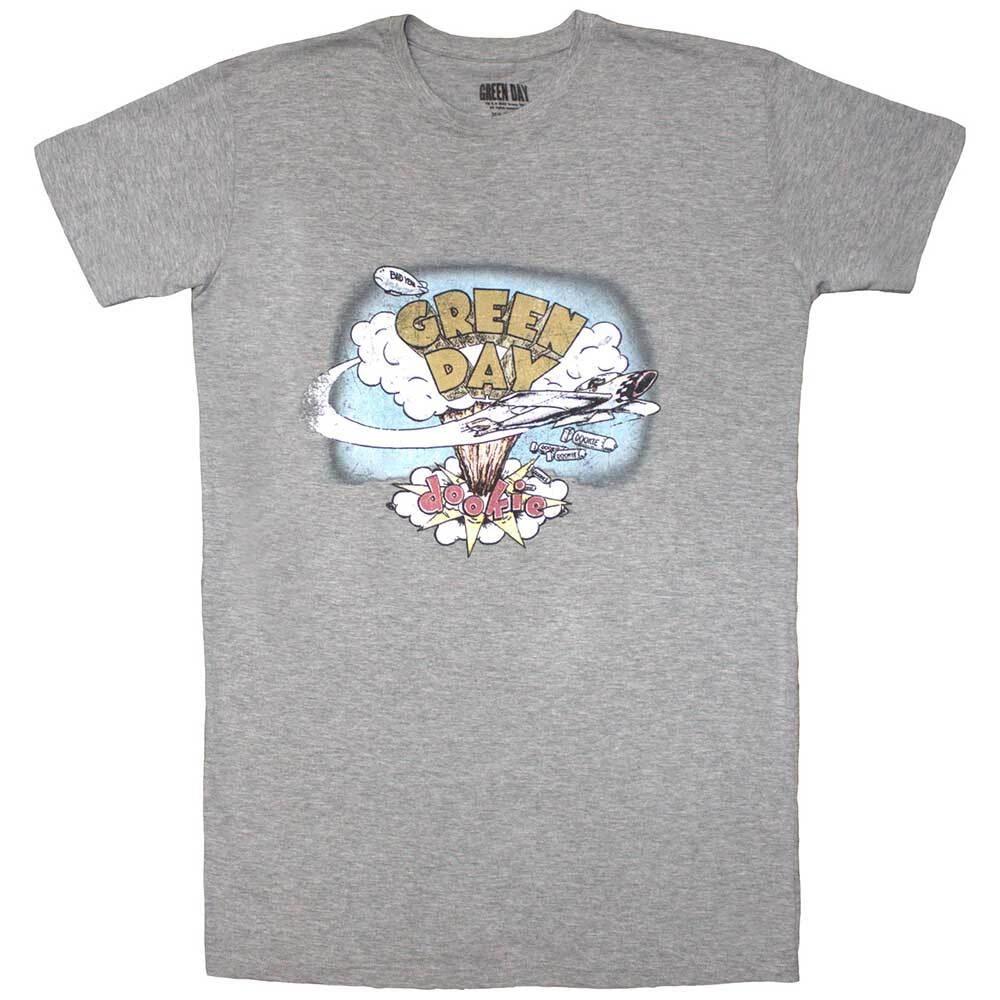 Green Day Ladies T-Shirt Dress: Vintage Dookie (Large) S