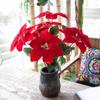 2 Bundles Christmas Artificial Poinsettia Bouquets 7 Heads Fake Flowers Ornaments For Christmas