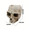 Versatile Storage Skull Candy Dish Decorative Bowl Multipurpose Design Resin Material Seasonal Centerpiece 12*10*9cm