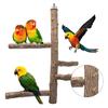 Bird Perch Set Natural Wood Stand Parakeet Toys Multi Branch Bird Cage Accessory