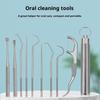 Stainless Steel Toothpick Set Portable Reusable Tooth Cleaner Kit with Travel Case for Everyday Oral Hygiene