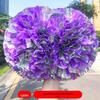 Colorful Cheerleading Pompons Hand Flowers for Events