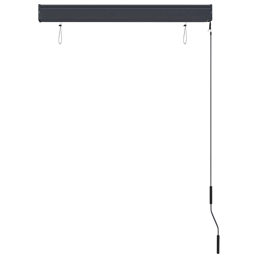 Vidaxl External Roller Blind, 100X250 Cm, Anthracite