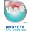 Dental Labo Medicated Toothpaste for Periodontal Disease (Gingivitis and Pyorrhea), 100g x 2-Pack