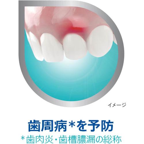 Dental Labo Medicated Toothpaste for Periodontal Disease (Gingivitis and Pyorrhea), 100g x 2-Pack