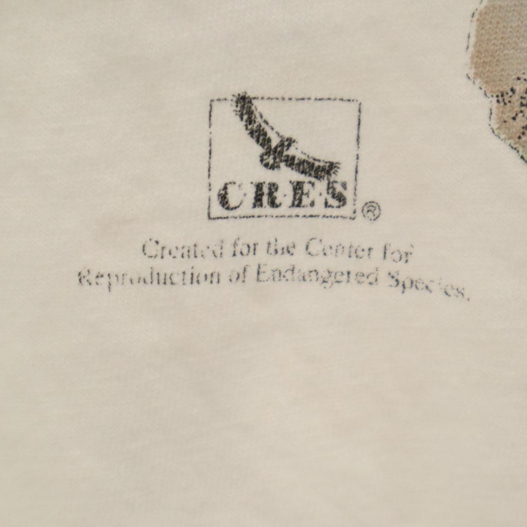 Hanes 90s Made in USA Old elephant print Short sleeve T-shirt Men's Used