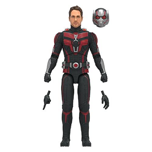 Hasbro Marvel Legends Series Ant-Man, Ant-Man and the Wasp: Quantumania 6-inch (15cm) Action Figure, Ages 4 and Up, F6573, Authentic