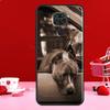 Pit Bull Lovely Dog Pitbull Case For Xiaomi Redmi Note 11 10 9 8 12 Pro Plus 12S 11S 10S Cover For Redmi 12C 10C 10A 9C