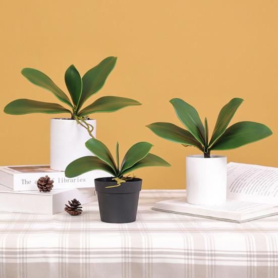 Beautiful Artificial Plant Fresh-keeping Eco-friendly Decorative