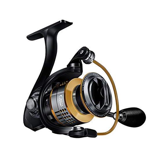 WATACHAMP Shield Spinning Reel 2000-4000 Series | Freshwater & Saltwater Use, 8+1BB, 5.8:1 Gear Rati