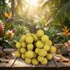 Handwerkskunst Simulation Longan Lebensecht Obstmodell Heimdekoration Künstliche Frucht Blumenarrangement