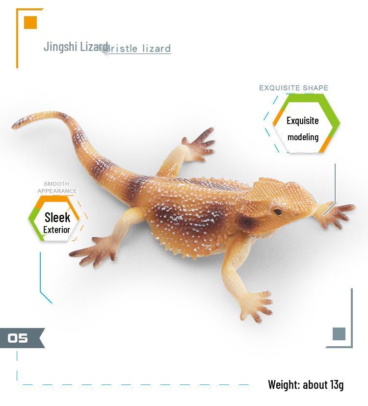 Cross-Cultural Reptile Model Set: Iguana, Chameleon, and Bearded Dragon for Kids' Cognitive Development with Card
