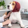 Windproof Dog Soothing Headcover Anxiety Relief Dog Ear Cover Dog Anti-scare Scarf  Pet Supplies