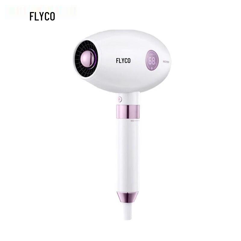 FLYCO High-Power Hair Dryer