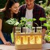 With Wood Stand Hydroponics Plants Glass Terrarium Adjustable Transparent Propagation Tube  Desktop