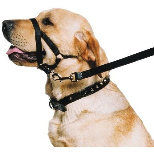 Collier de Dressage - Ancol - Halter Tête - Noir - Taille M - Pour Chien