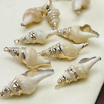 10 Buc, Scoică Naturală Conch Aliaj de Zinc Margine Aurie Pandantive Farmece pentru Accesorii Colier DIY, Confecționare Creativă de Bijuterii, Mărturii pentru Petrecerea Burlăcițelor