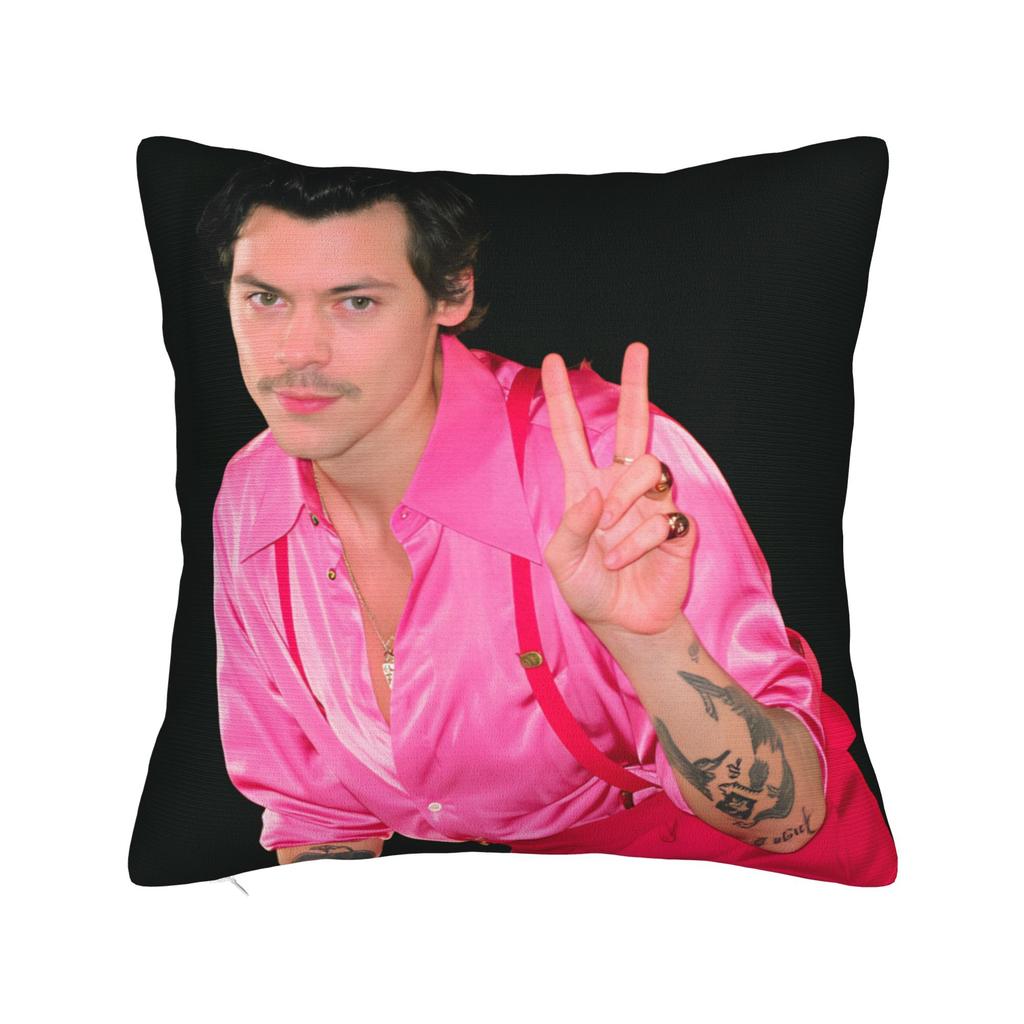 Singer H-Harrys S-Styles  Pillow Cover  Custom Cushion Cover Kawaii Pillow Case For Chair Sofa Home Decor