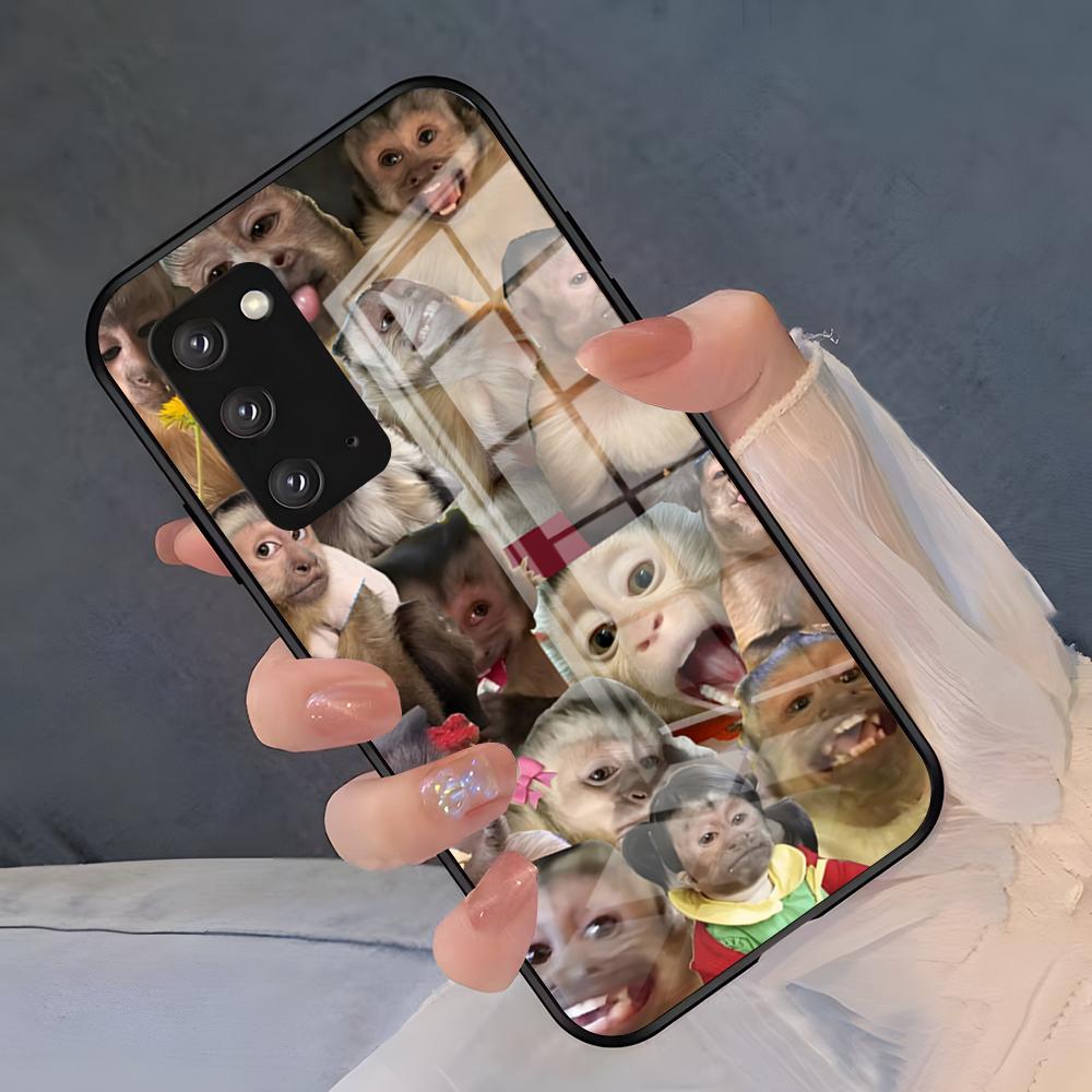 Funny Monkey Phone Case For Samsung S26 S25 Plus S20 S20 Plus S22 Ultra S23 FE S21 Plus S21 Ultra Glass Cover