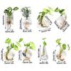 Hydroponics Plants Wall Hanging Vase Transparent Plant Propagation Vase  for Home Office Decor
