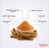 Vicco Turmeric Skin Cream with Sandalwood Oil for Healthy Glowing Skin 50gm Pack of 2 Natural Moisturizer