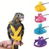 Parrot Training Harness Leash Set Anti-Bite Outdoor Flying Rope For Cockatiels Small Birds Supplies 