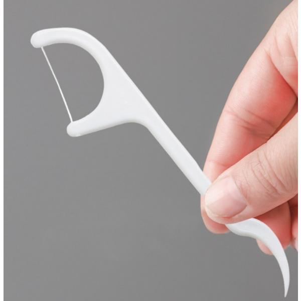 2in1 Disposable Dental Floss, 100 Pieces, 30 Pieces